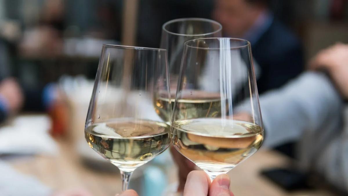 Vin Fest hos Fia 🍷✨ – Smakresa i Vinkällaren!