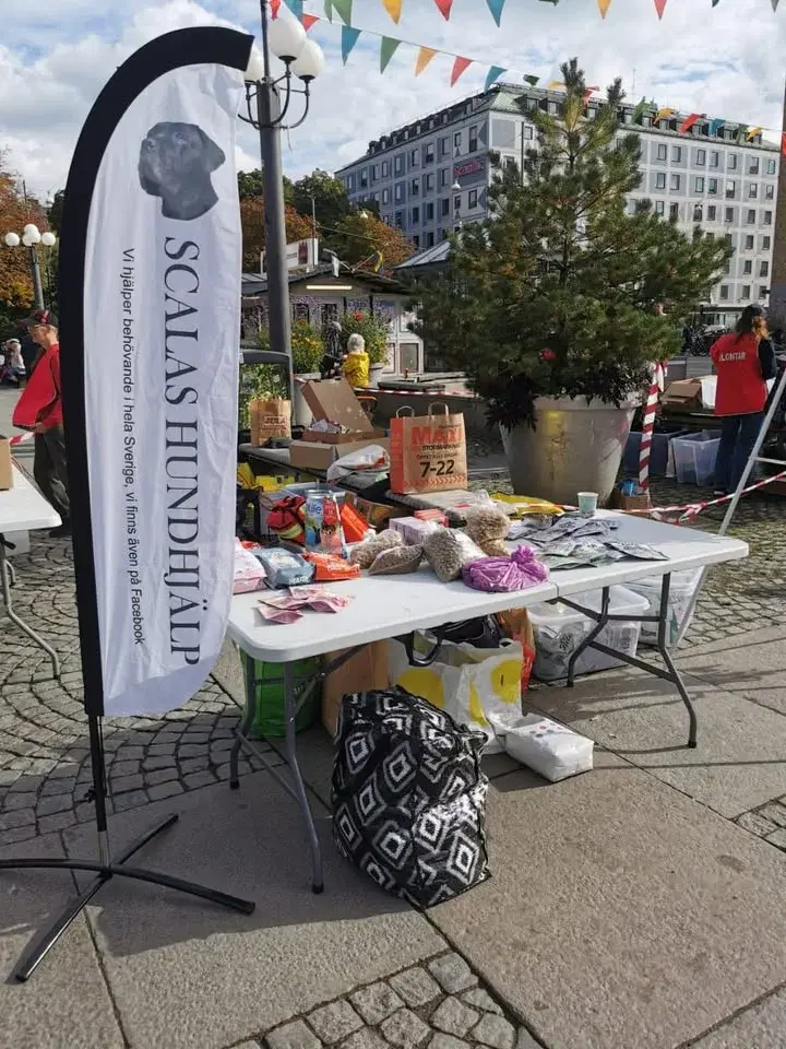 Utdelning i Rosenlundsparken