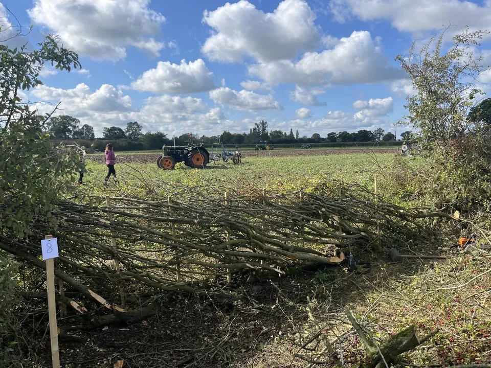 Derby YFC Charity Ploughing & Hedgelaying Match
