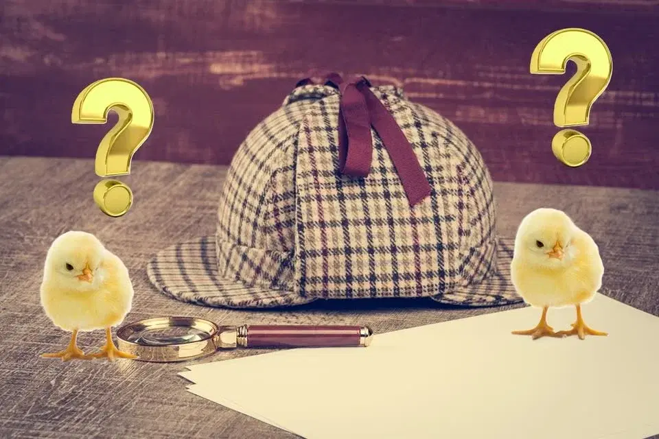 Påskekrim - Kirsebergsbibliotekets deckarquiz!