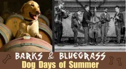 Barks & Bluegrass - Dog Days of Summer Wine Down