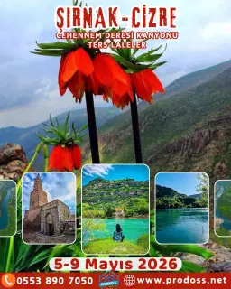 Prodoss ŞIRNAK - CİZRE - CEHENNEM DERESİ - TANİN DAĞLARI TERS LALELER Kültür ve Doğa Gezisi