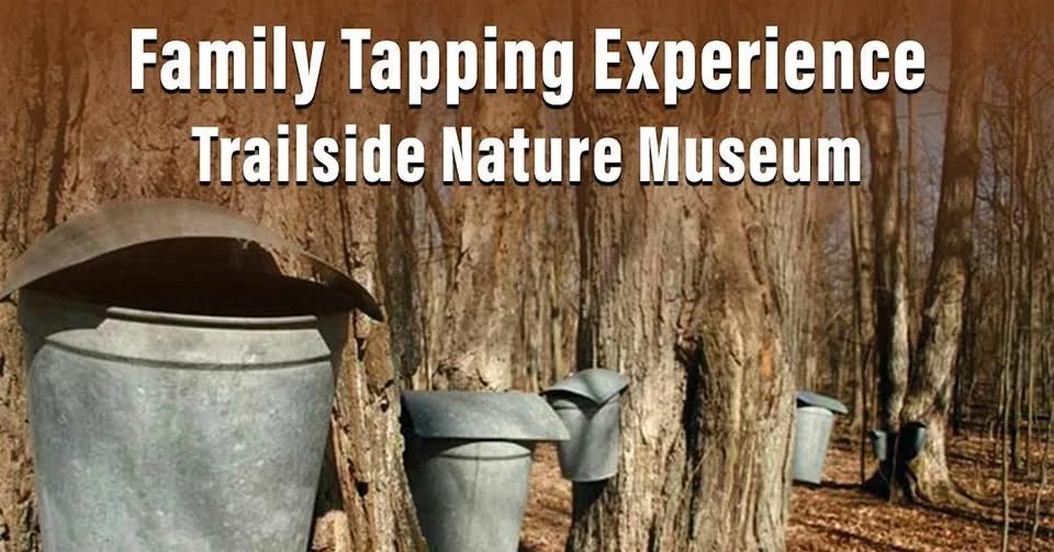 Family Tapping Experience at Trailside Nature Museum