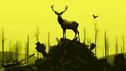 Divia – en symfoni av en sårad natur