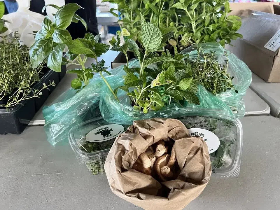 Richfield Farmers Market 2026