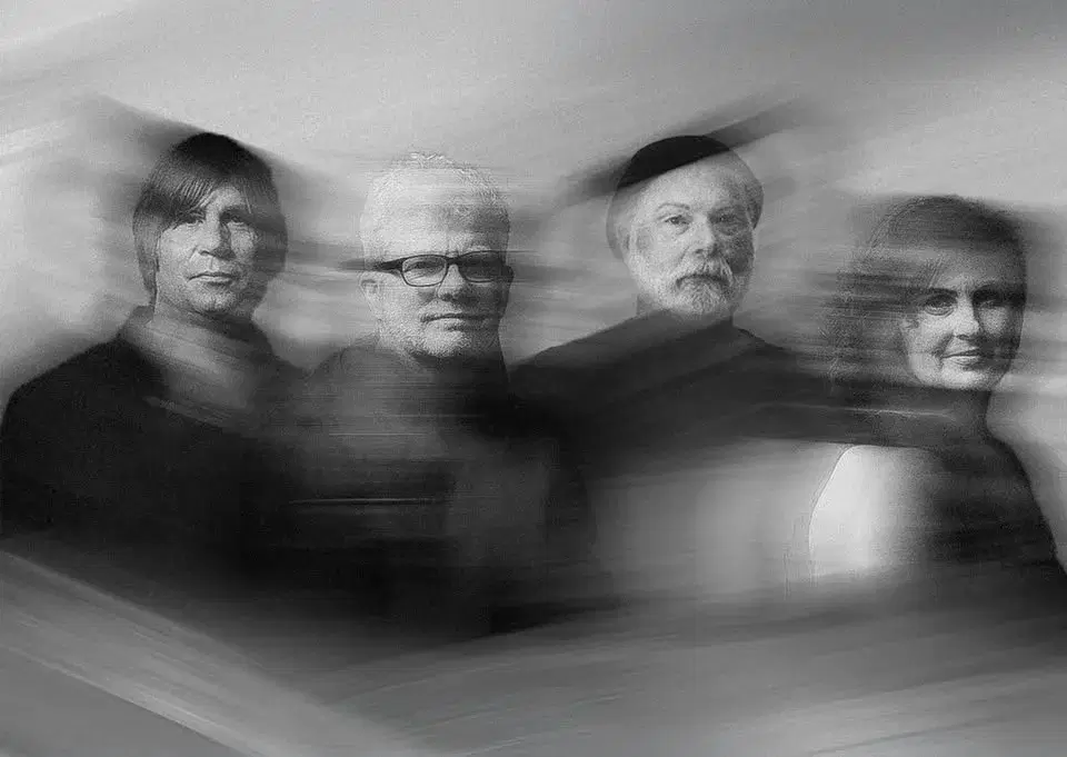 THE NEW PORNOGRAPHERS