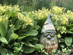 27th Annual Butternut Creek Festival