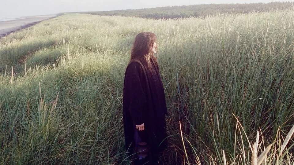 Searows: Death in the Business of Whaling