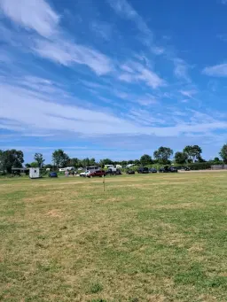 Seavington Summer Horse Show