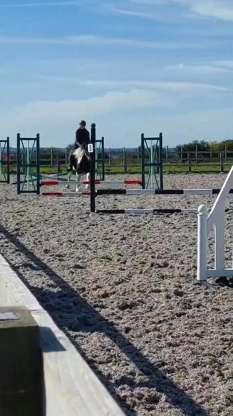 Show Jumping with Jane Hussel