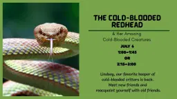 The Cold-Blooded Redhead