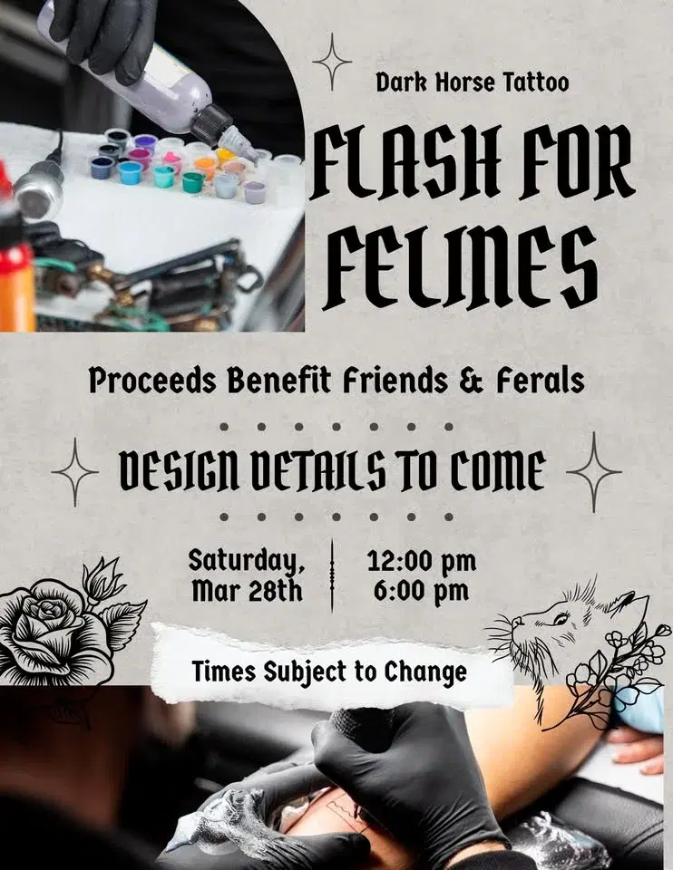 Flash (Tattoos) for Felines