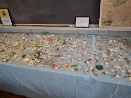 Costume jewelry sale