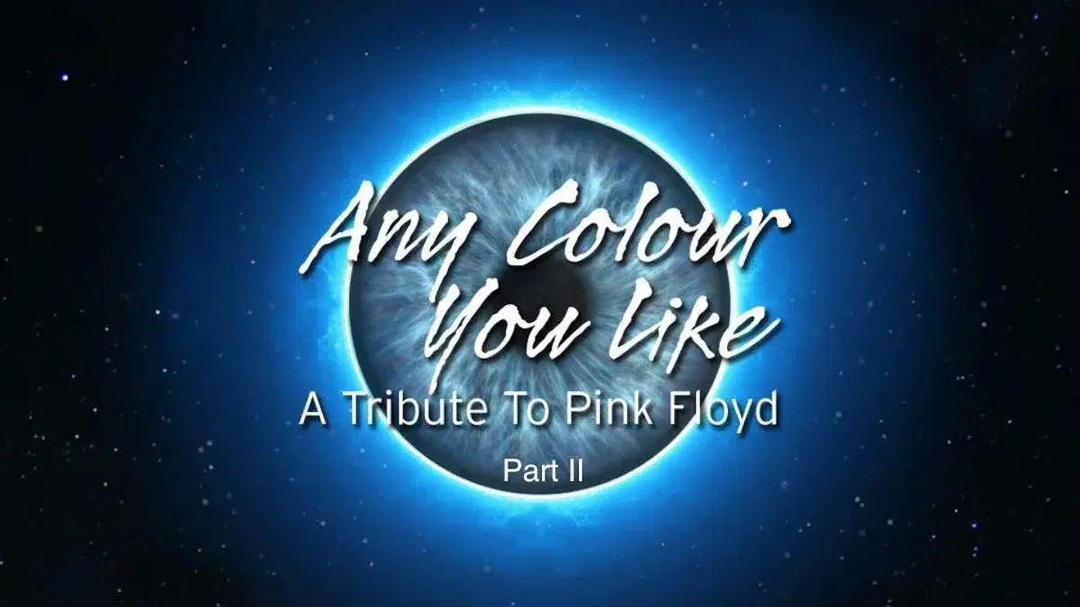 Any Colour You Like - A Tribute To Pink Floyd Part II