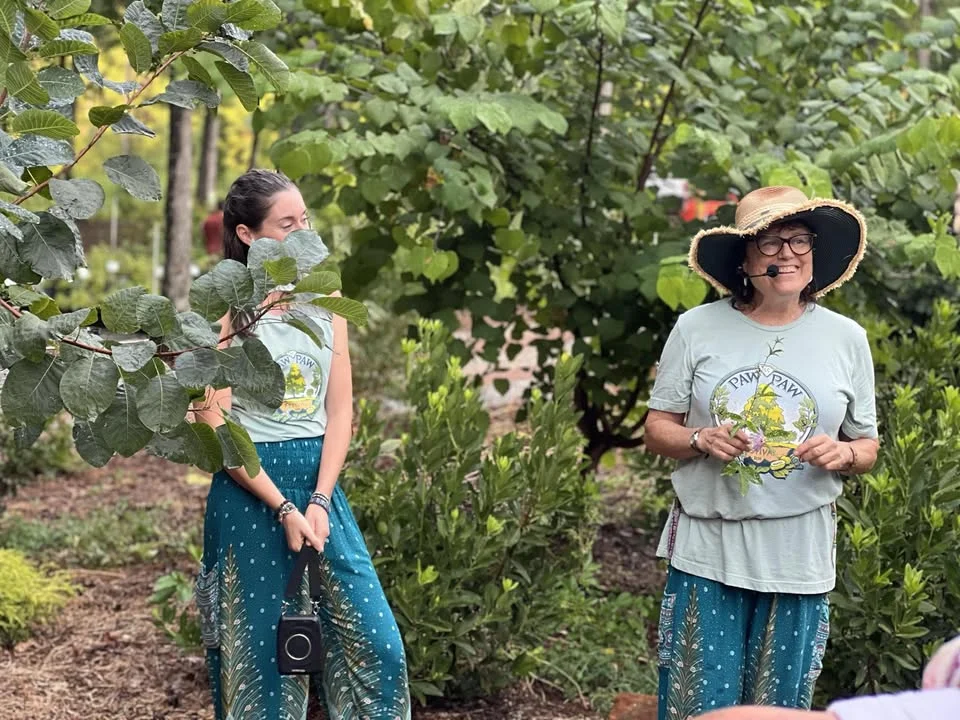 Herbalism: Fall Teas and Tinctures