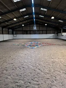 Monthly pole work & massage clinic