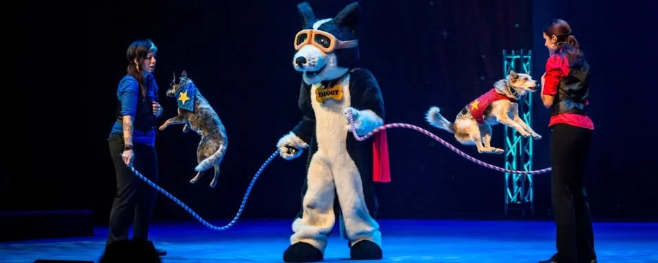 The Perondi’s Stunt Dog Experience