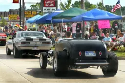 Telegraph Cruise 2026