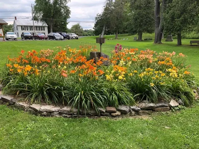 Ninth Annual Schoharie Lily Festival
