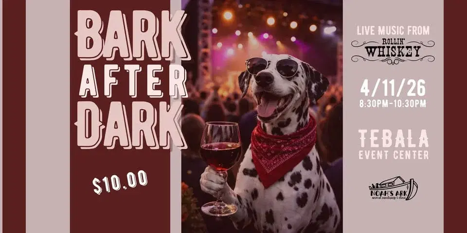 Bark after Dark