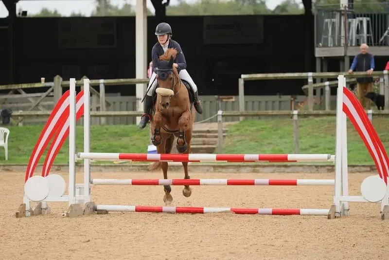 Wellington Riding Club Open Show Jumping