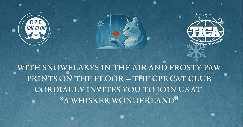 A Whisker Wonderland 2026 TICA Annual