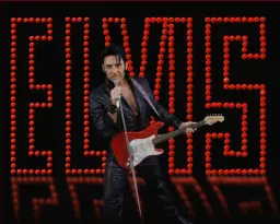 Tribute to Elvis - Stephen Freeman