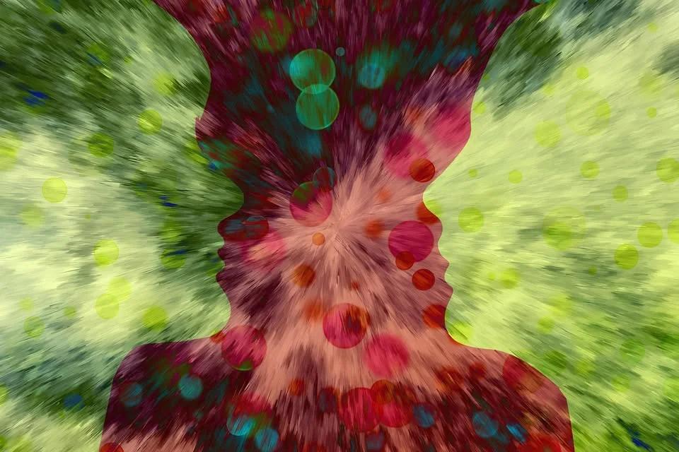 Principy práce v Emočně nestabilním poli (neurofyziologie kontaktu)