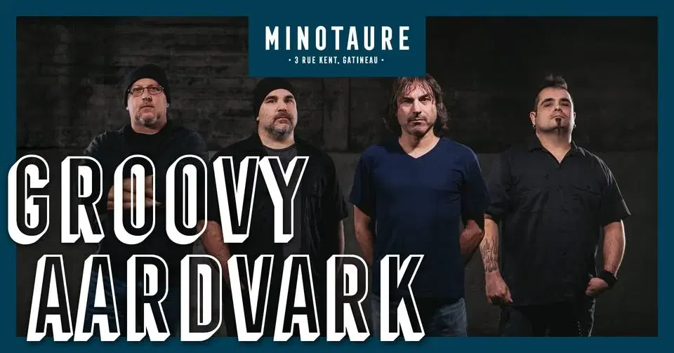 Groovy Aardvark à Gatineau