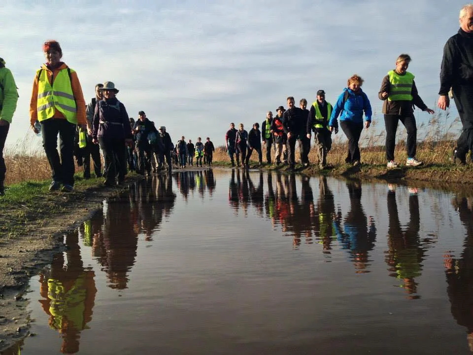 De Zotte 50 van Gheel 2026