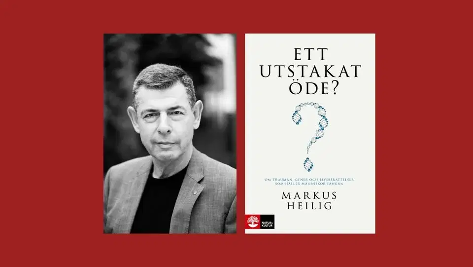 Psykologikväll: Arv, erfarenheter eller slumpen – varför blir vi som vi blir?