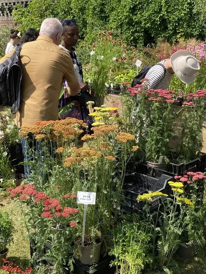 Rare Plant Fair, Winterbourne House and Garden, Birmingham