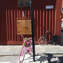 På hoj i Stockholm - på cykel med Peter Frisk