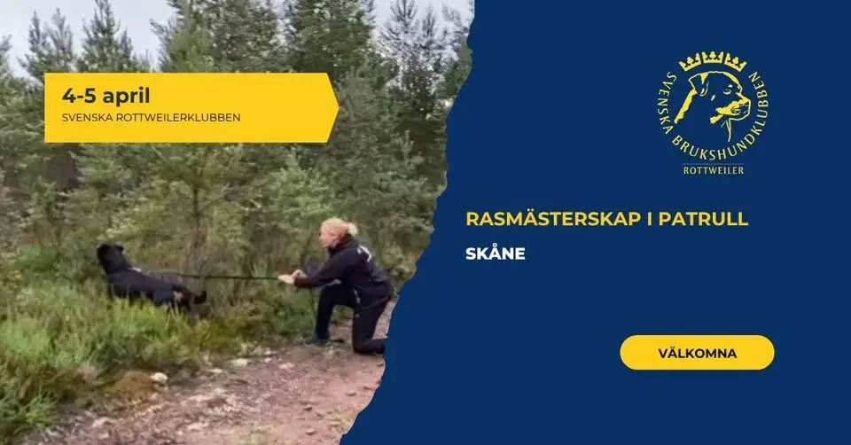 RASMÄSTERSKAP I PATRULL – Svenska Rottweilerklubben