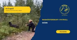 RASMÄSTERSKAP I PATRULL – Svenska Rottweilerklubben
