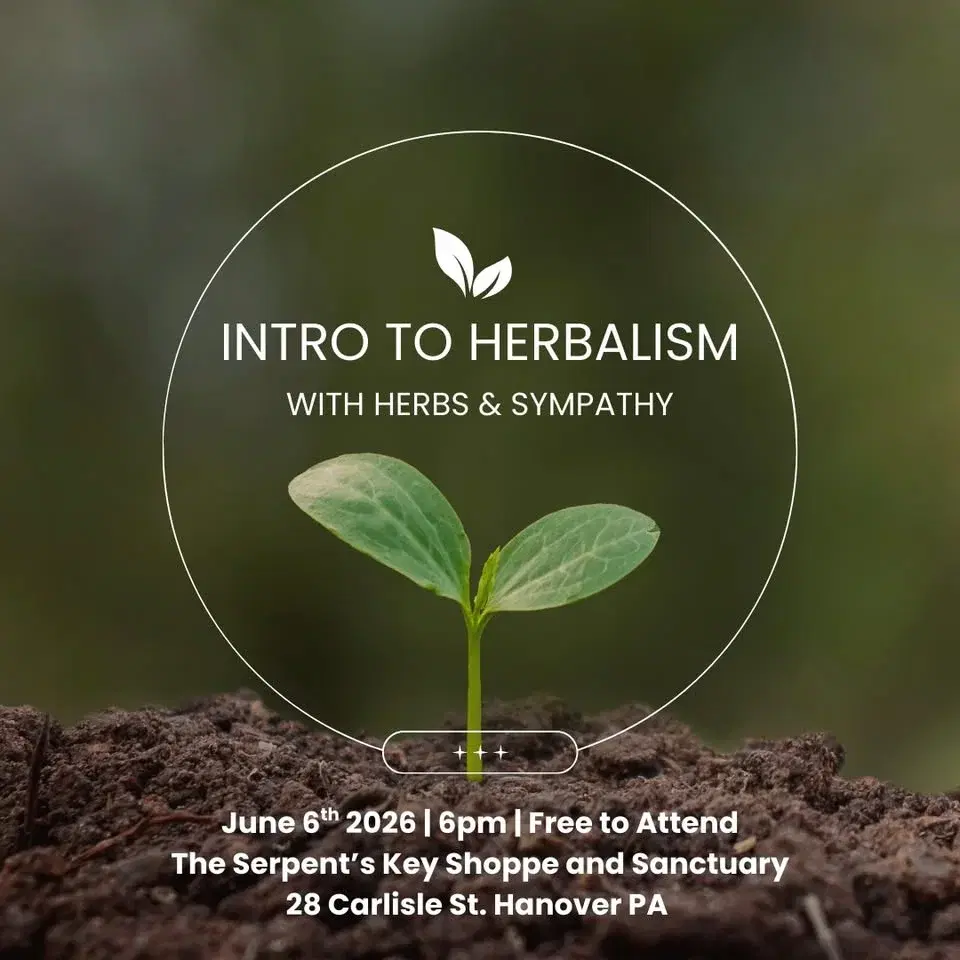 Introduction to Herbalism with Herbs & Sympathy
