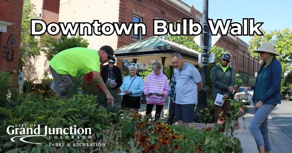 Downtown Bulb Walk