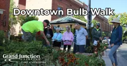Downtown Bulb Walk