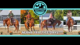 NERHA Practice Days