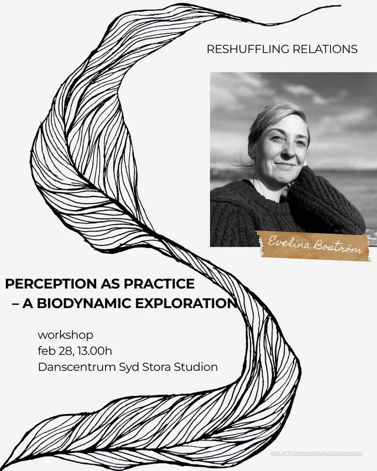 Craniosacral Therapy into Movement | Workshop with Evelina Boström