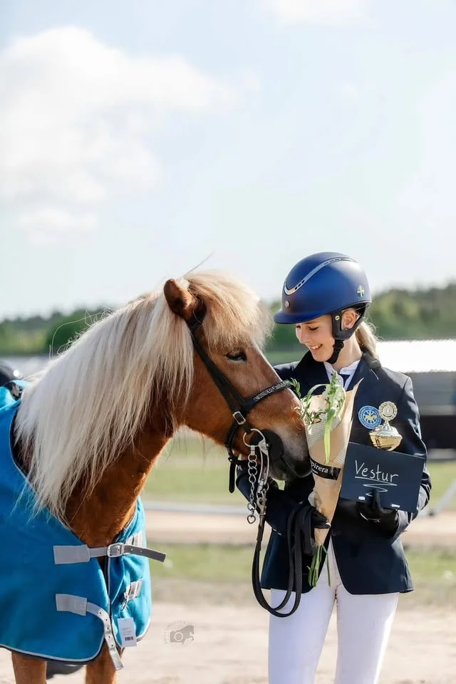 Vestur Nivå 1 2026