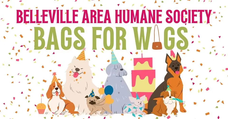 Bags for Wags