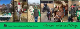 Horsin' Around Day - Spring Fling