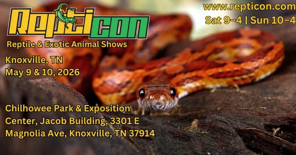 Repticon Knoxville