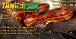 Repticon Knoxville