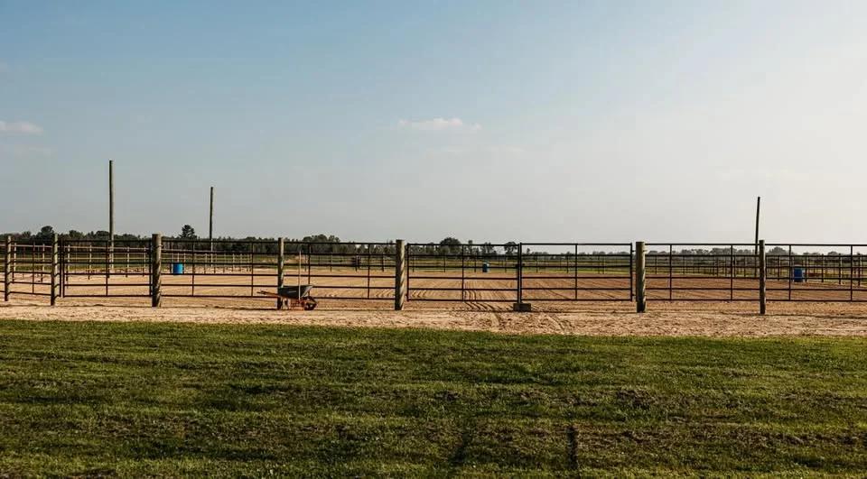 Schumacher Stables Award Series by CEP