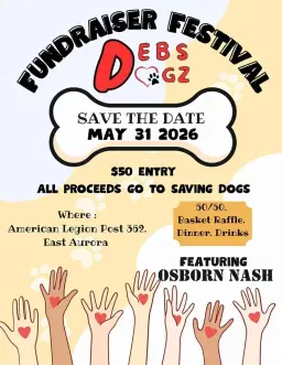 Fundraising Festival