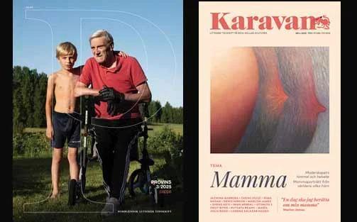 Karavan salong