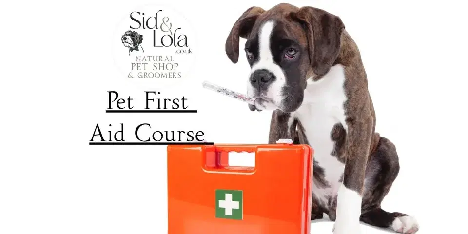 Pet First Aid Course
