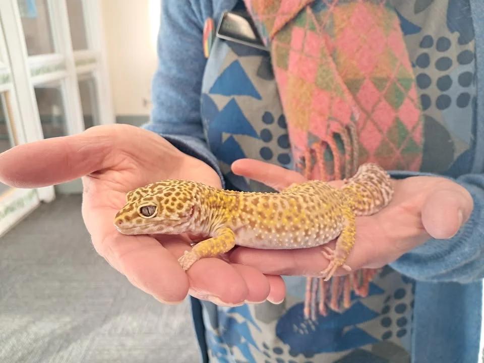February Half Term: Animal Handling Session (Monday Morning)